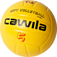 德国Cawila Soft Volleyball 软质排球_250x250.jpg