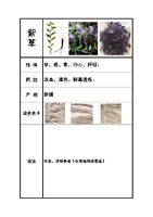 紫草500克天然植物染料，植物草木染_250x250.jpg