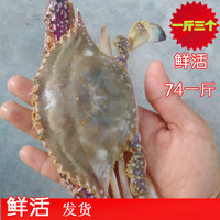 海鲜 水产 鲜活 梭子蟹公蟹 螃蟹 鲜活飞蟹 白蟹 一斤三个包肥_250x250.jpg