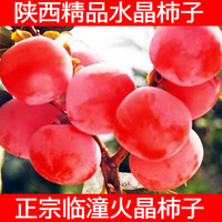 正宗临潼火晶柿子 陕西特产 软柿子 新鲜水果 时令小甜柿子 包邮_250x250.jpg