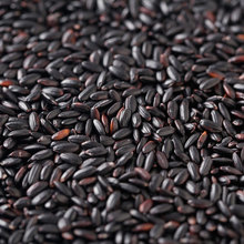 黑米杂粮纯天然500g包邮 原料养生粗粮特级有机黑米杂粮农家东北