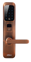 大华智能锁 DH-ASL8112R 大华指纹锁 大华密码锁（可议价）_250x250.jpg