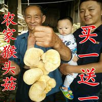 农家高山猴头菇干货 菇类保证绿色无公害种植优质 特价一斤_250x250.jpg