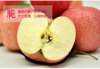 2016年山东烟台红富士苹果80mm5斤包邮新鲜有机水果果农直供_250x250.jpg