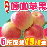 烟台嘎啦苹果新鲜有机水果烟台苹果甜脆栖霞红富士山东特产5斤装_250x250.jpg