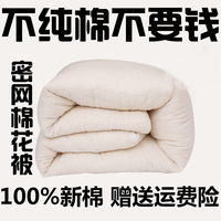 100%纯棉长绒棉保暖舒适被学生床上被棉絮秋冬季被芯床垫被子3斤_250x250.jpg